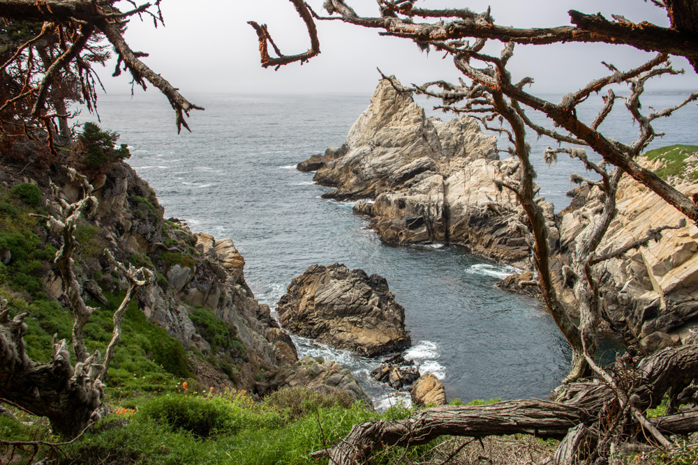 Schroffe Klippen an der Pazifikküste gibt es am Point Lobos zu sehen.