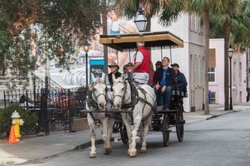 Viele Touristen erkunden Charleston mit der Kutsche.